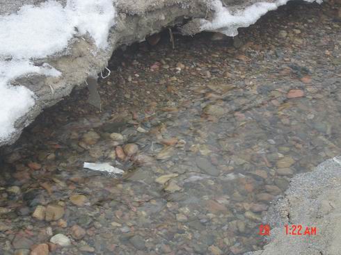 20160530101317_552.jpg 20160530101317_552.jpg