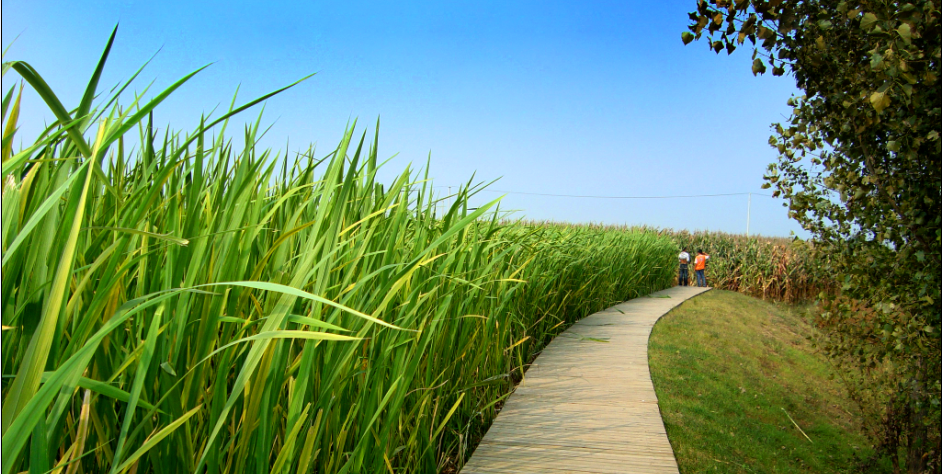 20160530100811_219.png 20160530100811_219.png