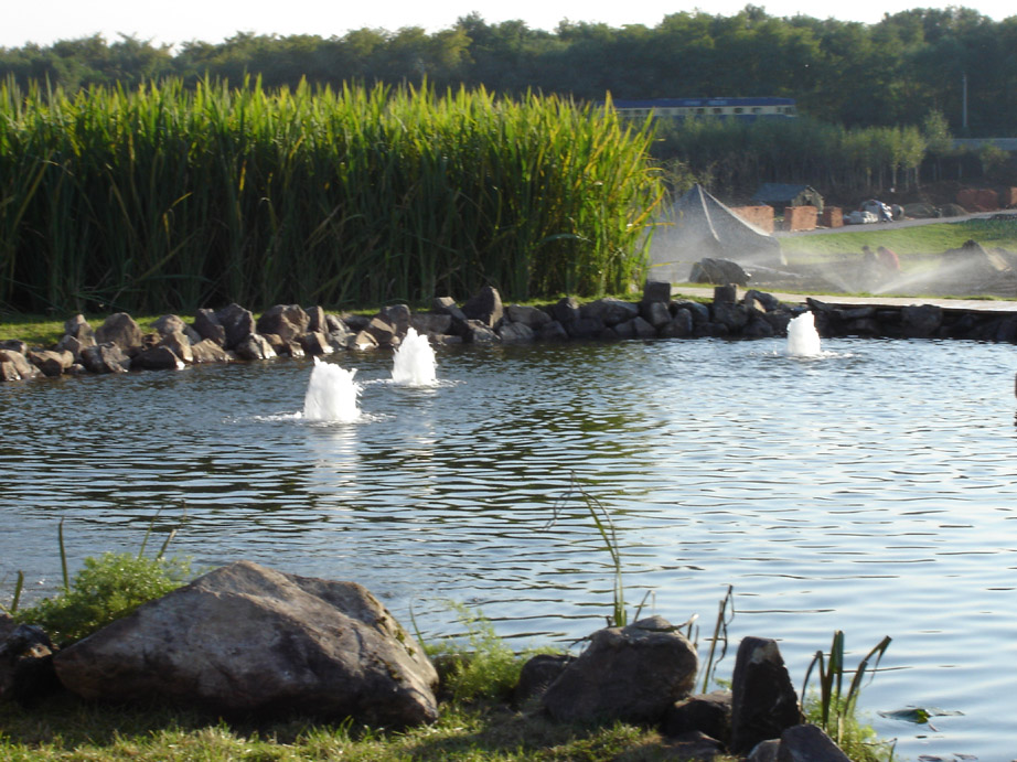 20160530110041_856.jpg 20160530110041_856.jpg